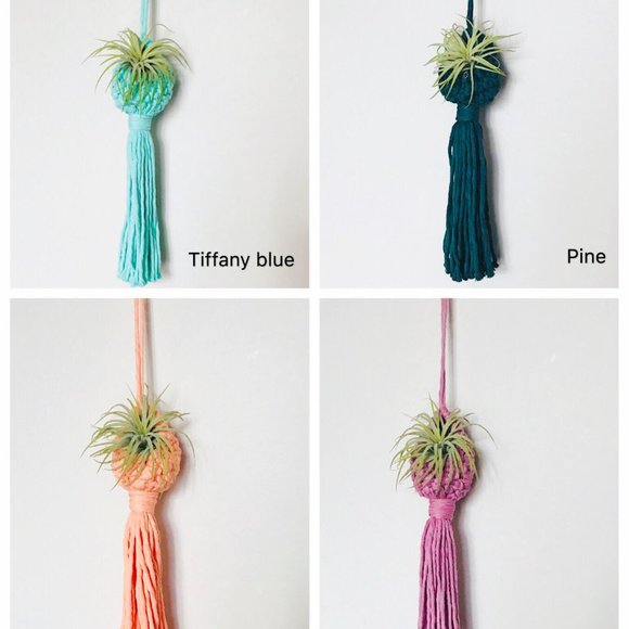 COPY - COPY 1- Handmade macrame air plant pod - Picture 4 of 5